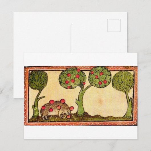 Marginalia Hedgehog Briefkaart (Voorkant / Achterkant)
