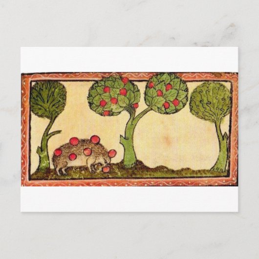 Marginalia Hedgehog Briefkaart (Voorkant)