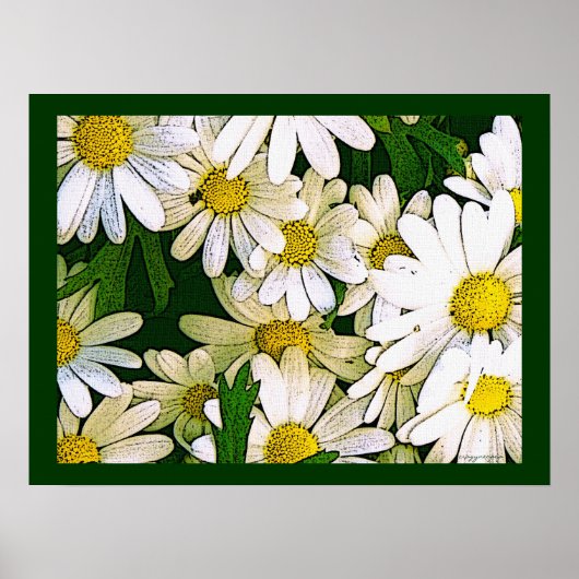 "margo" poster (Voorkant)