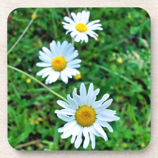 margriet bier onderzetter (Voorkant)