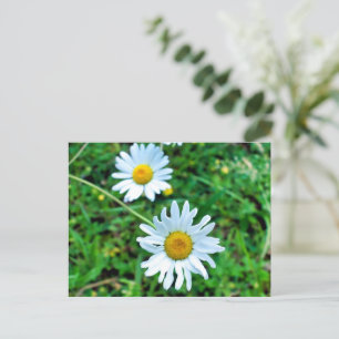 margriet briefkaart