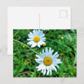 margriet briefkaart (Voorkant / Achterkant)