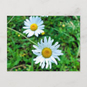 margriet briefkaart (Voorkant)