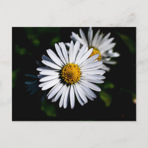 margriet briefkaart