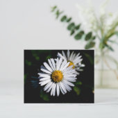 margriet briefkaart (Staand voorkant)