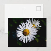 margriet briefkaart (Voorkant / Achterkant)