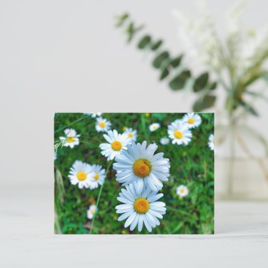 margriet briefkaart (Staand voorkant)