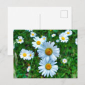 margriet briefkaart (Voorkant / Achterkant)