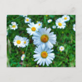 margriet briefkaart (Voorkant)