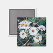 margriet | Magneet (Voorkant / Achterkant)