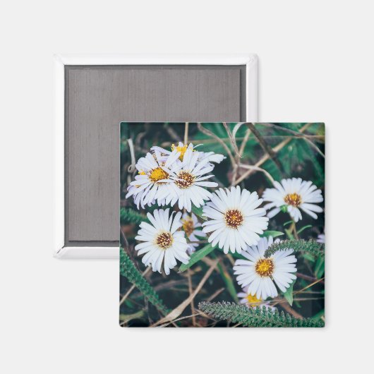 margriet | Magneet (Voorkant / Achterkant)