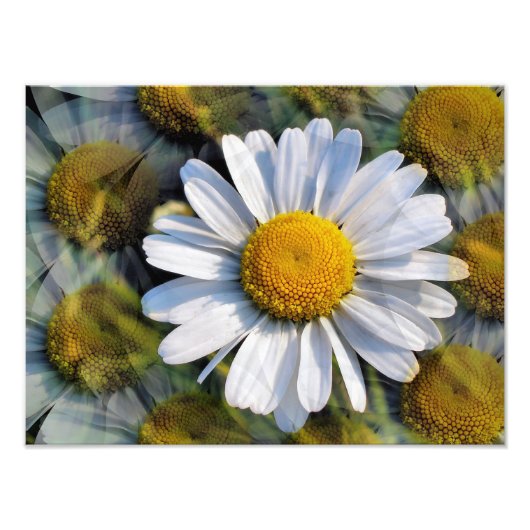 MARGRIETEN FOTO AFDRUK (Voorkant)