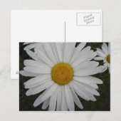 Marguerite Briefkaart (Voorkant / Achterkant)