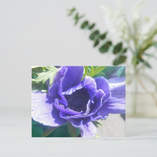 Marguerite Briefkaart (Staand voorkant)