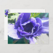 Marguerite Briefkaart (Voorkant / Achterkant)