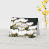 Marguerite Daisy Card Kaart (Gele Bloem)