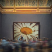 Marguerite Daisy met gevlekte insecten Canvas Afdruk