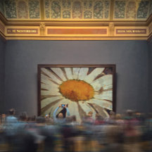 Marguerite Daisy met gevlekte insecten