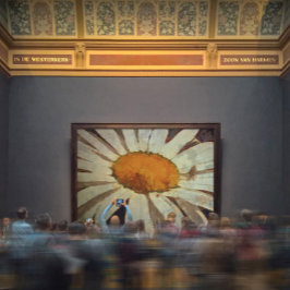 Marguerite Daisy met gevlekte insecten Canvas Afdruk