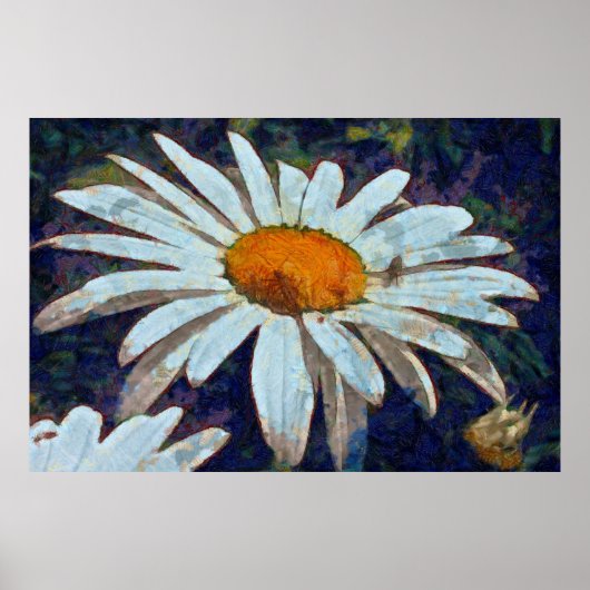 Marguerite Daisy met gevlekte insecten Poster (Voorkant)