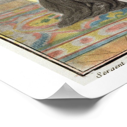 Marguerite de Valois (1553-1615) voor de S Poster (Hoek)