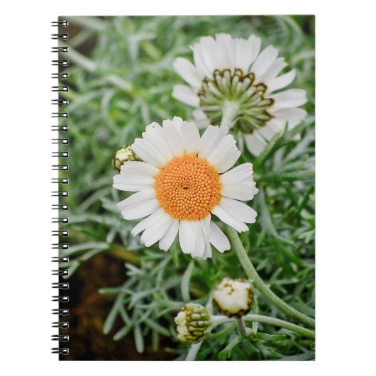 Marguerite Notitieboek (Voorkant)