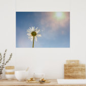 Marguerite - poster (Keuken)