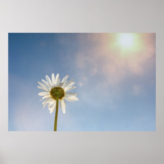 Marguerite - poster (Voorkant)