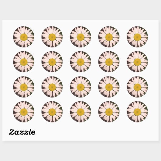 Marguerite Ronde Sticker (Vel)