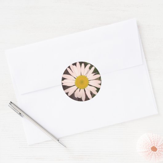 Marguerite Ronde Sticker (Envelop)
