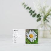 Marguerite-wild-flower426 WILDFLOWERS DAISY SPRIN Visitekaartje (Staand voorkant)