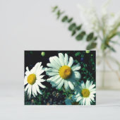 Marguerites Briefkaart (Staand voorkant)