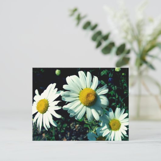 Marguerites Briefkaart (Staand voorkant)