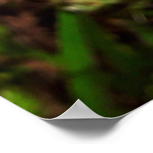 Maria-fecha-a-porta 1 poster (Hoek)