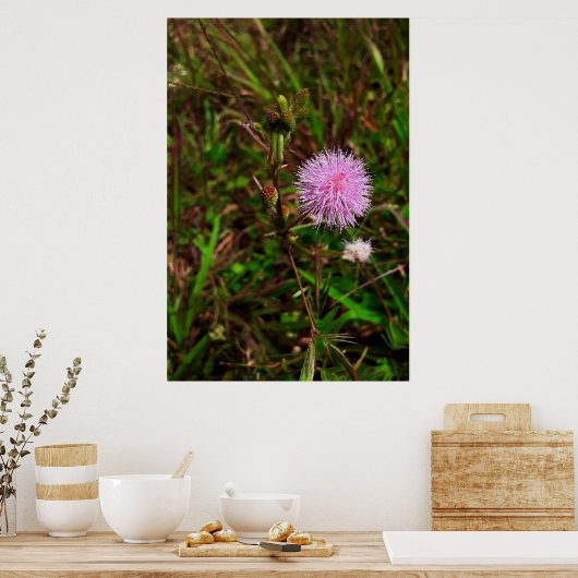 Maria-fecha-a-porta 1 poster (Keuken)