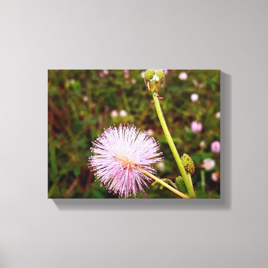 Maria-fecha-a-porta 2 canvas afdruk (Voorkant)