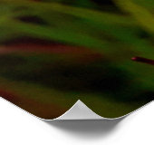 Maria-fecha-a-porta 2 poster (Hoek)