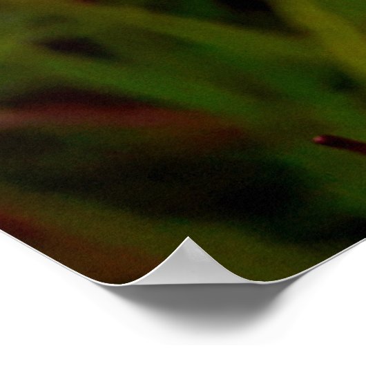 Maria-fecha-a-porta 2 poster (Hoek)