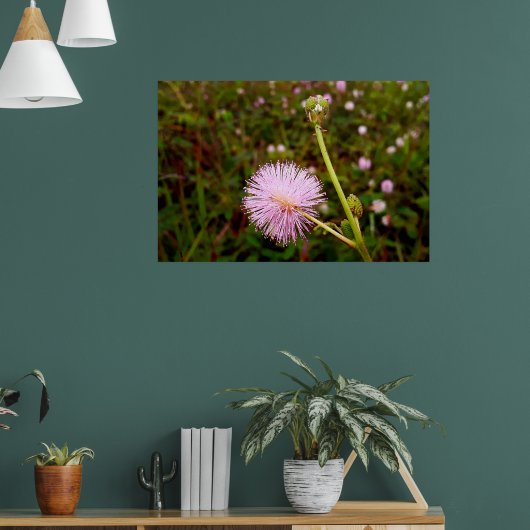 Maria-fecha-a-porta 2 poster (Woonkamer 1)