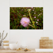 Maria-fecha-a-porta 2 poster (Keuken)