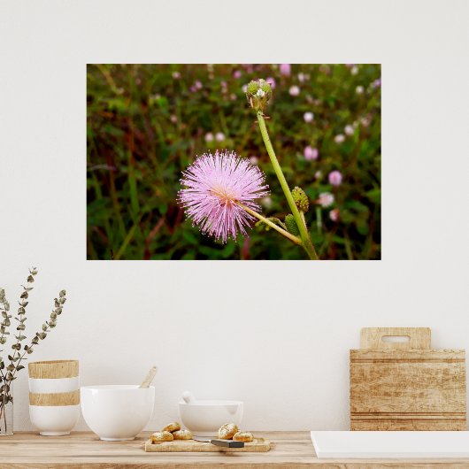 Maria-fecha-a-porta 2 poster (Keuken)