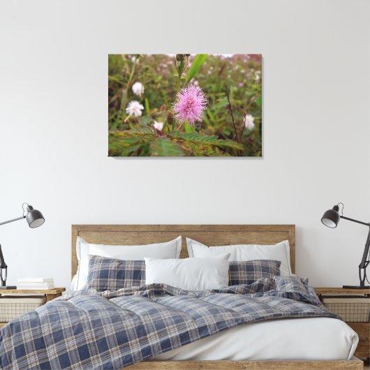 Maria fecha a porta  - Campo Canvas Afdruk (Insitu (Slaapkamer))