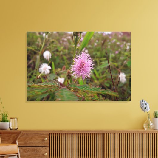 Maria fecha a porta  - Campo Canvas Afdruk (Insitu (Woonkamer))