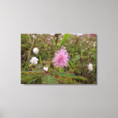 Maria fecha a porta  - Campo Canvas Afdruk (Voorkant)