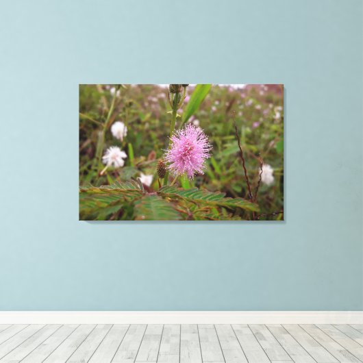 Maria fecha a porta  - Campo Canvas Afdruk (Insitu (Houten vloer))