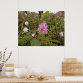 Maria fecha a porta  - Campo Poster (Keuken)