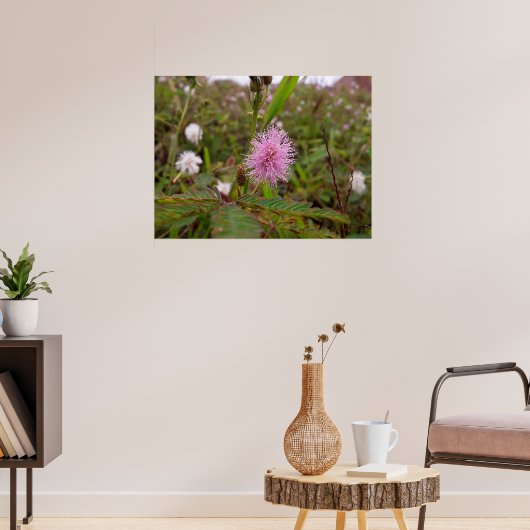 Maria fecha a porta  - Campo Poster (Woonkamer 3)