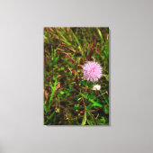 Maria-fecha-a-porta Canvas Afdruk (Voorkant)