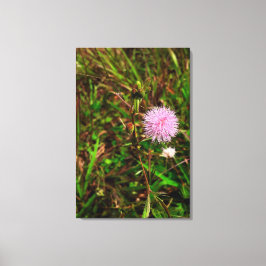 Maria-fecha-a-porta Canvas Afdruk