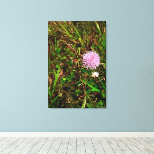 Maria-fecha-a-porta Canvas Afdruk (Insitu (Houten vloer))